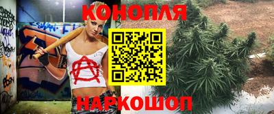 тгк Заводоуковск