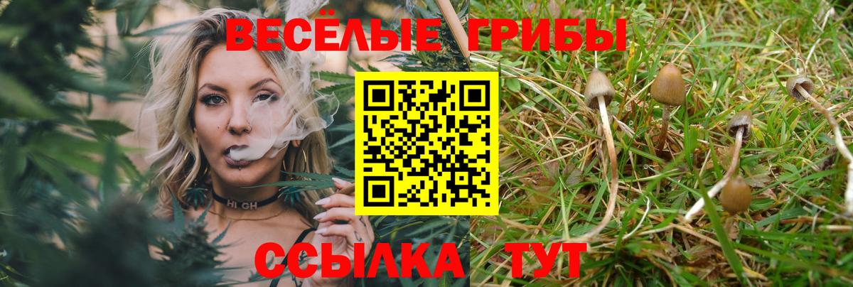 Псилоцибиновые грибы мицелий  Галлюциногенные грибы Psilocybine cubensis  Вход с VPN  Мичуринск 