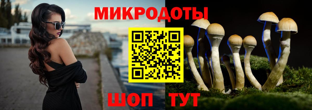 Псилоцибиновые грибы MAGIC MUSHROOMS Мичуринск